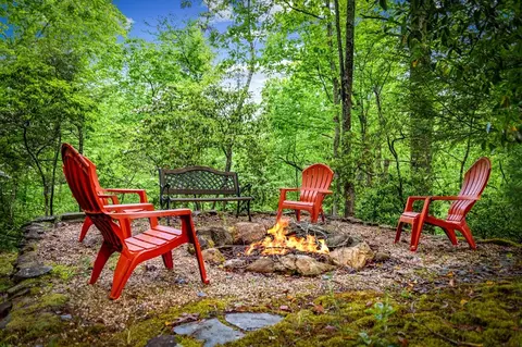 Other - 66 Windy Hill Dr, Cherry Log, GA 30522 photo 10 of 30