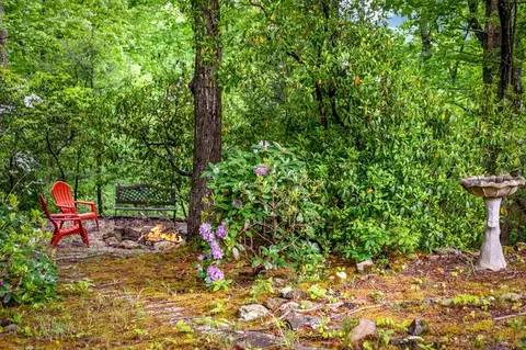 Exterior - 66 Windy Hill Dr, Cherry Log, GA 30522 photo 9 of 31