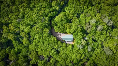 Other - 66 Windy Hill Dr, Cherry Log, GA 30522 photo 5 of 30