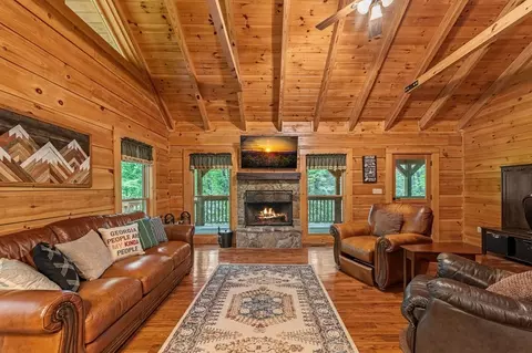 Living - 66 Windy Hill Dr, Cherry Log, GA 30522 photo 1 of 10
