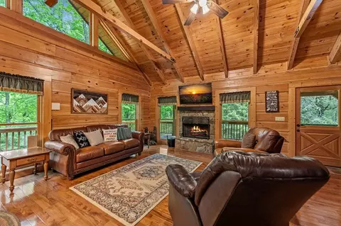 Living - 66 Windy Hill Dr, Cherry Log, GA 30522 photo 7 of 10