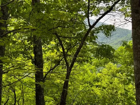 APT 6 Pounding Mill Overlook, Hayesville, NC 28904