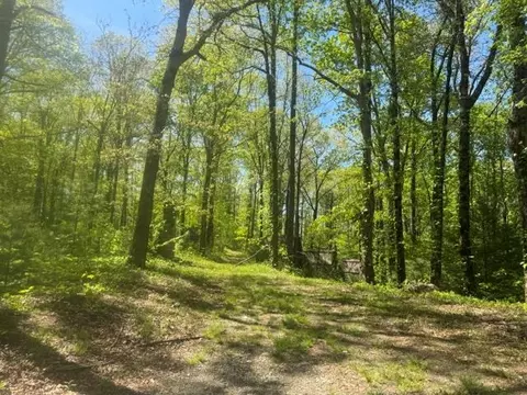 557 Shelton Rd, Suches, GA 30572