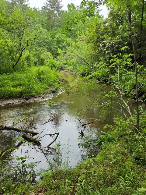 409 Harrison Sluder Rd, Ellijay, GA 30540