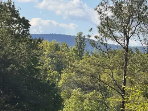 lot2 Grassy Creek Rd, Copperhill, TN 37317