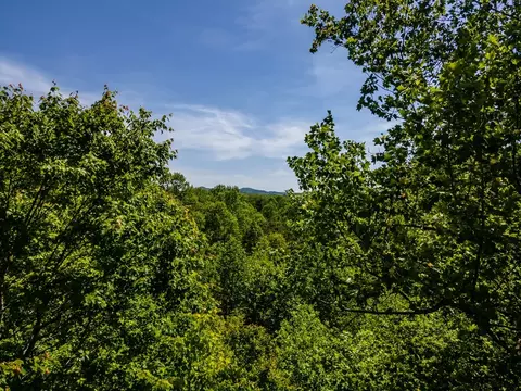 View/Area - 547 Echo Rd, Morganton, GA 30560 photo 2 of 2