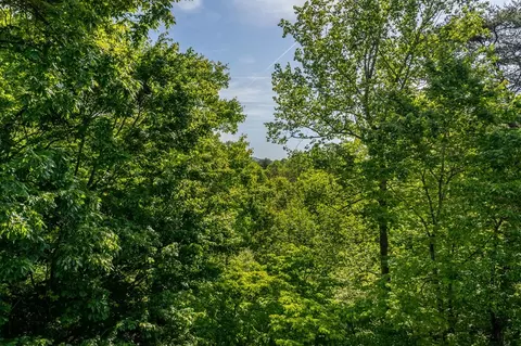 Other - 547 Echo Rd, Morganton, GA 30560 photo 8 of 12