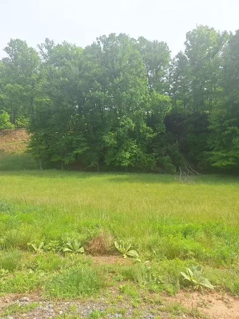 lot67 Hillside, Morganton, GA 30560