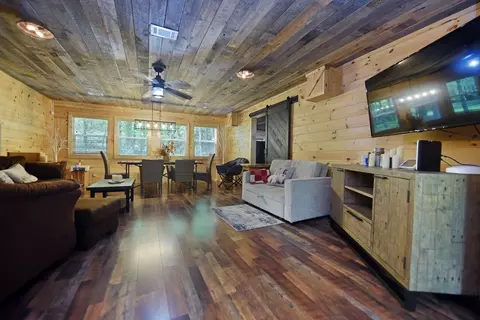 Living - 13111 Big Creek Rd, Cherry Log, GA 30522 photo 5 of 7