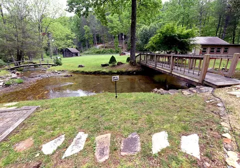 Exterior - 13111 Big Creek Rd, Cherry Log, GA 30522 photo 7 of 21
