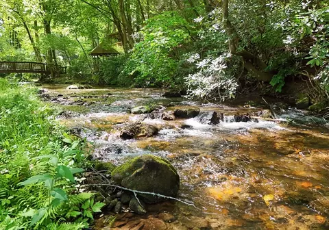 Other - 13111 Big Creek Rd, Cherry Log, GA 30522 photo 6 of 8