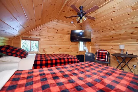 Bedroom - 13111 Big Creek Rd, Cherry Log, GA 30522 photo 4 of 8