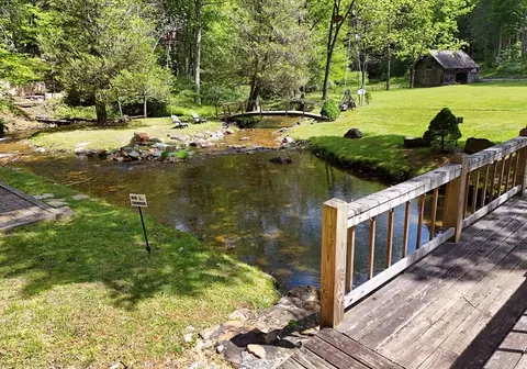 Exterior - 13111 Big Creek Rd, Cherry Log, GA 30522 photo 6 of 21
