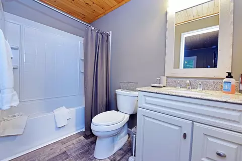 Bath - 13111 Big Creek Rd, Cherry Log, GA 30522 photo 1 of 3