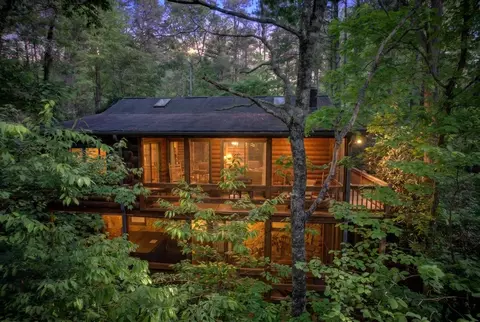 218 Bench Leg Rd, Mineral Bluff, GA 30559