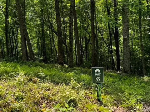 85 Cedar Rd, Ellijay, GA 30540
