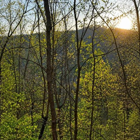 lot5 The Hts, Cherry Log, GA 30522