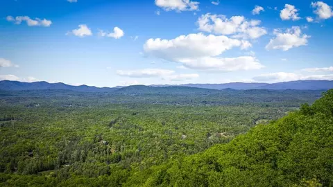 lot8 Ada Ridge Rd, Mineral Bluff, GA 30559