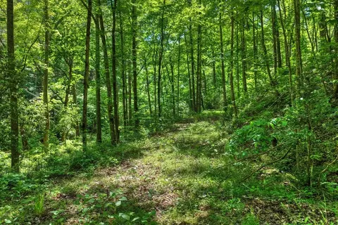 lot106 Mountain Creek Hollow Dr, Talking Rock, GA 30175