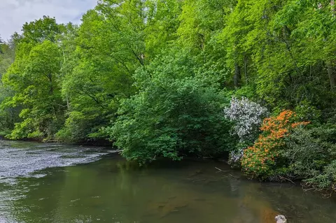 lot171 Shenendoa Dr, Ellijay, GA 30540