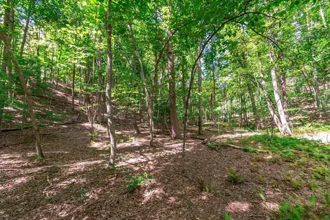 lot22 Meadow Brook Trl, Morganton, GA 30560
