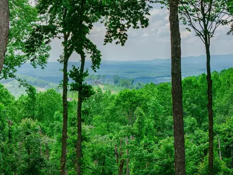 lot411 Calloway Mountain Rd, Talking Rock, GA 30175