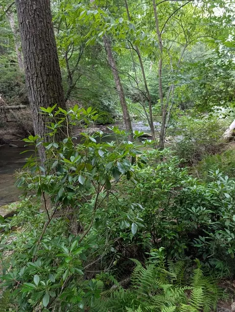 lot32 Byers Rd, Blairsville, GA 30512