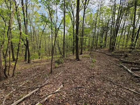 0 Talc Mine Rd, Jasper, GA 30143 photo 22