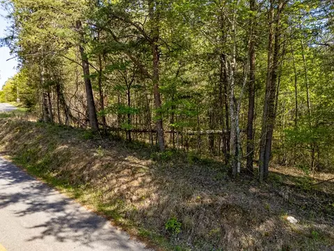0 Talc Mine Rd, Jasper, GA 30143 photo 8