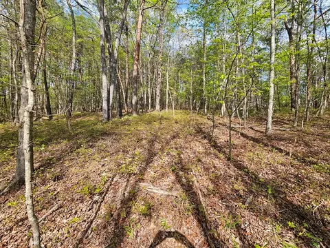 0 Talc Mine Rd, Jasper, GA 30143 photo 31
