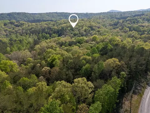 0 Talc Mine Rd, Jasper, GA 30143 photo 17