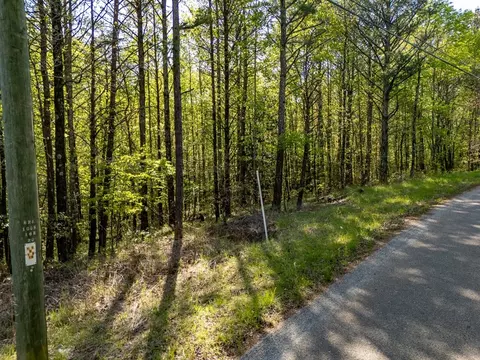 0 Talc Mine Rd, Jasper, GA 30143 photo 9