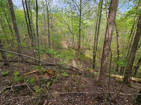 0 Talc Mine Rd, Jasper, GA 30143 photo 28