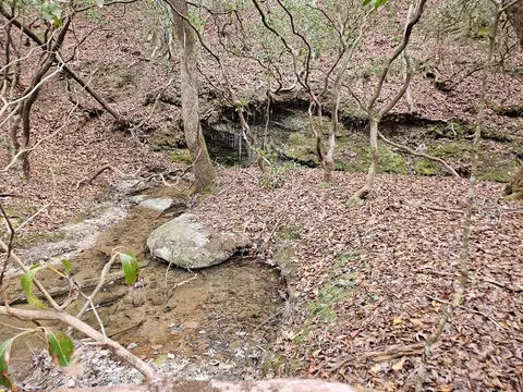 0 Talc Mine Rd, Jasper, GA 30143 photo 20