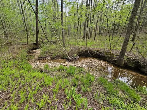 0 Talc Mine Rd, Jasper, GA 30143 photo 26