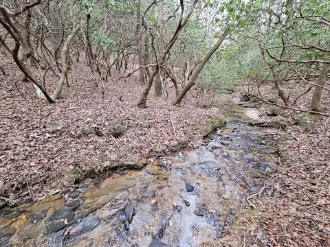 0 Talc Mine Rd, Jasper, GA 30143 photo 19