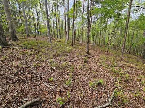 0 Talc Mine Rd, Jasper, GA 30143 photo 30