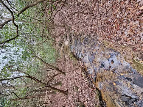 0 Talc Mine Rd, Jasper, GA 30143 photo 21