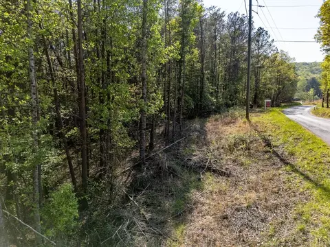 0 Talc Mine Rd, Jasper, GA 30143 photo 6