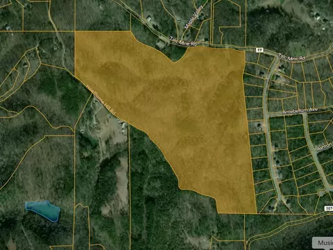 0 Talc Mine Rd, Jasper, GA 30143
