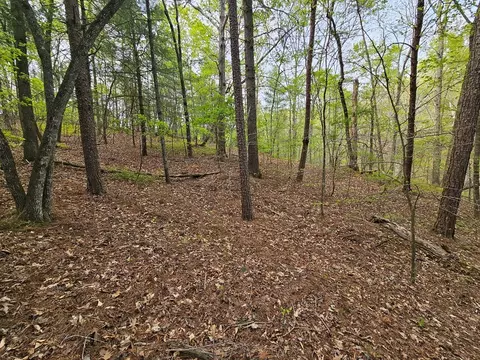 0 Talc Mine Rd, Jasper, GA 30143 photo 29