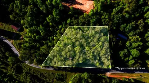 3 West Gum Log Road, Warne, NC 28909