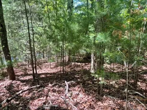 lot2 Mount Pleasant Ridge Rd, Blairsville, GA 30512