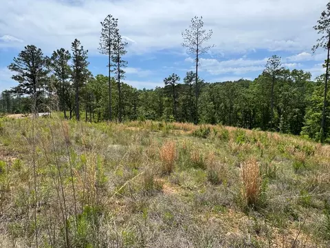 lot243 Spear Point Dr, Talking Rock, GA 30175