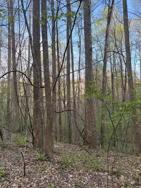 lot2 Anns Ln, Hayesville, NC 28904