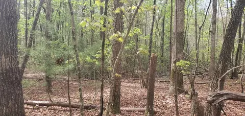36 38 Squirrel Hunting, Ellijay, GA 30536