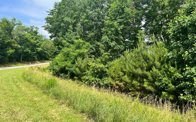 60 Thirteen Hundred, Blairsville, GA 30512