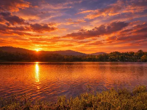 lot5 Walnut Dr, Blairsville, GA 30512