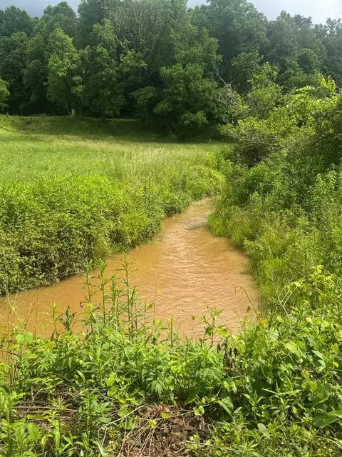 00 Tails Creek Rd, Ellijay, GA 30540