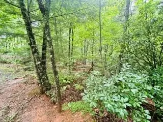 lot106 Pine Terrace Cir, Blue Ridge, GA 30513